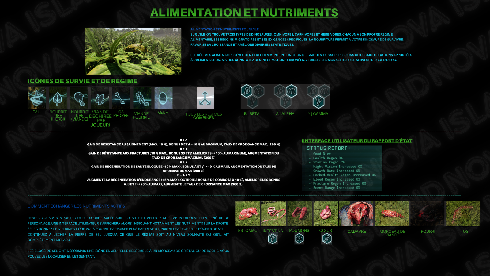 Guide 1
