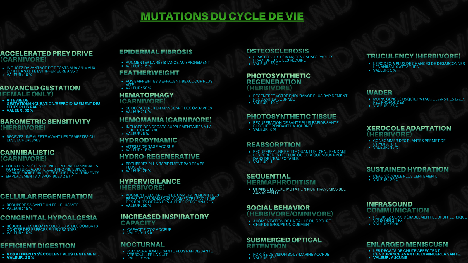 Guide 5